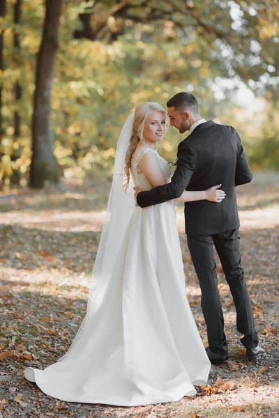 Bräutigam Und Braut Wald Herbsthochzeit Wald Glückliche Hochzeit Verliebtes Paar — Stockfoto