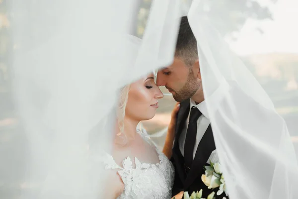 Bräutigam Und Braut Wald Herbsthochzeit Wald Glückliche Hochzeit Liebevolles Paar — Stockfoto