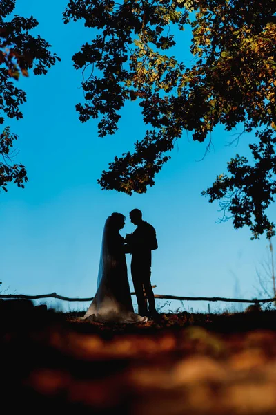 Bruid Bruidegom Permanent Het Park Teder Kijken Naar Elkaar — Stockfoto