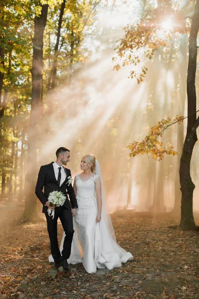新娘和新郎背景在森林里童话般的雾中 阳光冲破了浓烟 一个童话般的婚礼 — 图库照片