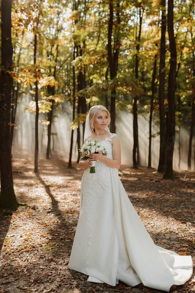 新娘在森林里的童话般的雾气中走着 阳光冲破了浓烟 一个童话般的婚礼 — 图库照片