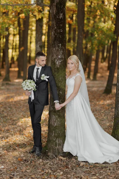 新娘和新郎在童话森林的背景下 浪漫的观点 促销照片结婚的夫妻牵着手 时髦的腕表 — 图库照片