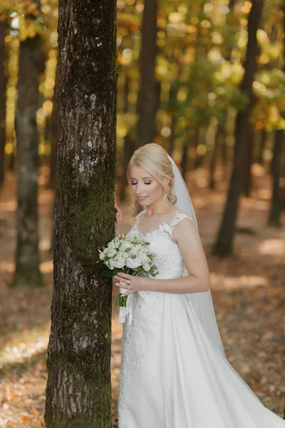 Geht Die Braut Vor Dem Hintergrund Eines Märchenhaften Nebels Wald — Stockfoto