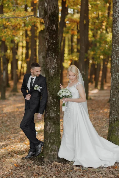 Sposa Sposo Sullo Sfondo Una Foresta Fatata Viste Romantiche Foto — Foto Stock