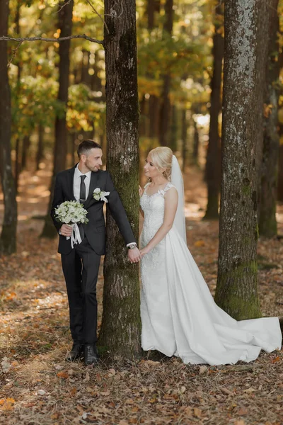 Braut Und Bräutigam Vor Dem Hintergrund Eines Märchenwaldes Romantische Ansichten — Stockfoto
