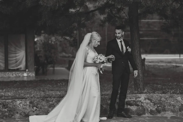 Vőlegény Fekete Öltönyben Fehér Ingben Finoman Megérinti Megfogja Menyasszony Kezét — Stock Fotó