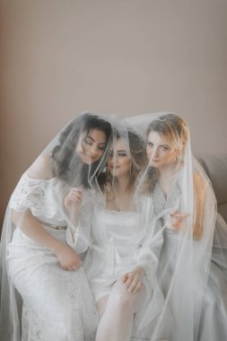 Nedimeler gülümseyen geline bakarlar. Hepsi aynı kanepede, peçenin altında. Gelin ve eğlenceli arkadaşları bekarlığa veda partisini farklı elbiselerle kutluyorlar. Gelin ve arkadaşları geldi.