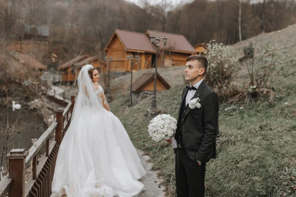 Egy Elegáns Menyasszony Egy Buja Ruha Divatos Frizura Áll Vőlegény — Stock Fotó