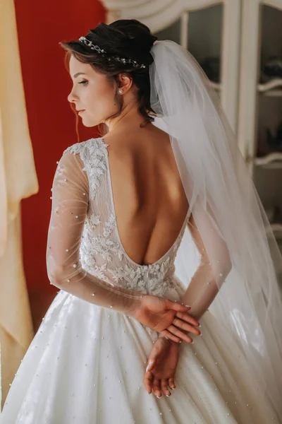 Brünette Braut Einem Schönen Kleid Mit Ärmeln Und Offenen Schultern — Stockfoto