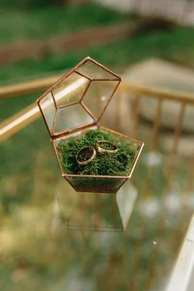 苔の美しいエレガントなガラスの箱に2つの金の結婚指輪 ガラスのテーブル ウェディングアクセサリー — ストック写真