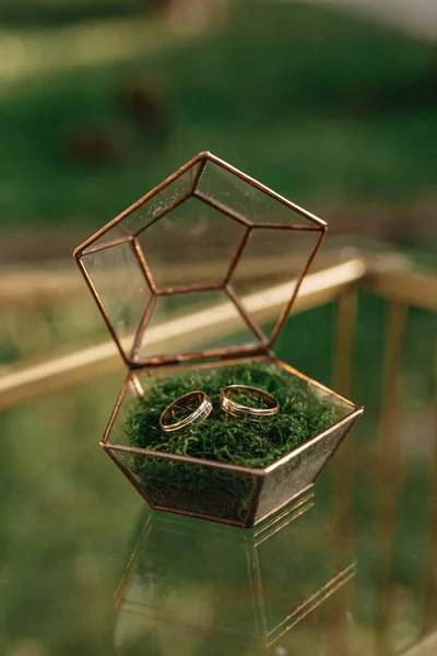 苔の美しいエレガントなガラスの箱に2つの金の結婚指輪 ガラスのテーブル ウェディングアクセサリー — ストック写真