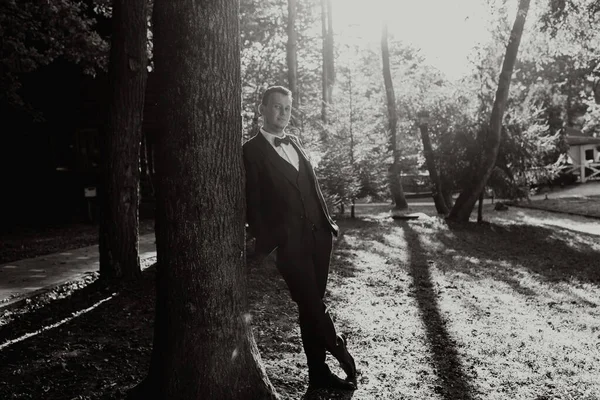 portrait of the groom in the forest in a wide shot, the groom leans his shoulder against a tree, the photo is backlit. black and white photo