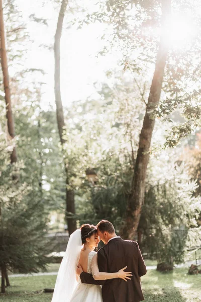 新娘和新郎手牵手穿过森林 后视镜案文的位置 — 图库照片