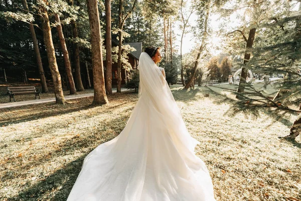 Gyönyörű Menyasszony Esküvői Ruha Hosszú Vonat Áll Vissza Erdőben — Stock Fotó