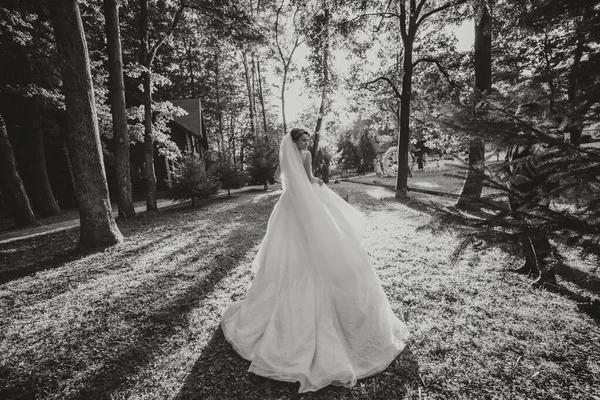 Schöne Braut Einem Brautkleid Mit Einer Langen Schleppe Die Zurück — Stockfoto