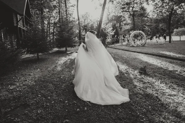 Bela Noiva Vestido Noiva Com Longo Trem Volta Floresta Foto — Fotografia de Stock