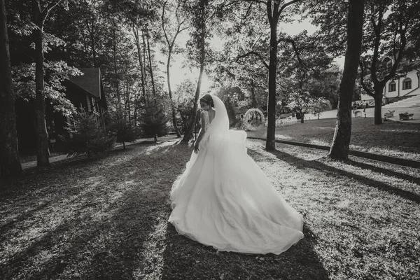 Gyönyörű Menyasszony Menyasszonyi Ruhában Hosszú Vonattal Erdőben Fekete Fehér Fénykép — Stock Fotó