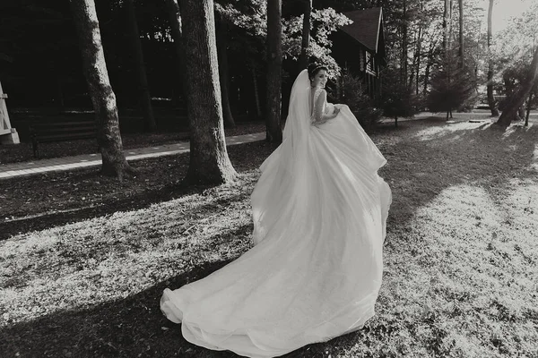 Gyönyörű Menyasszony Menyasszonyi Ruhában Hosszú Vonattal Erdőben Fekete Fehér Fénykép — Stock Fotó