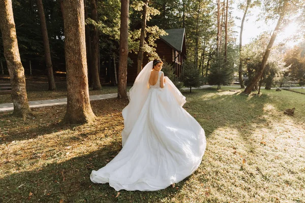 Mooie Bruid Een Trouwjurk Met Een Lange Trein Terug Het — Stockfoto