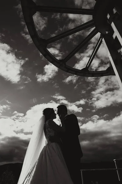 Házaspár Között Hegyek Menyasszony Nézi Vőlegény Ölelés Lány Mosolyog Fehér — Stock Fotó
