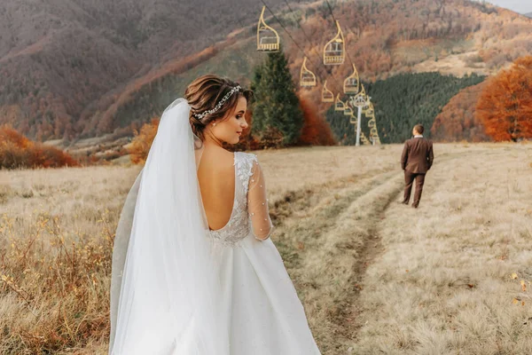 Красива Весільна Пара Наречена Наречена Закохані Тлі Гір — стокове фото