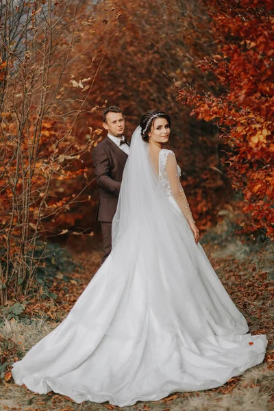 Cuplu Nuntă Plimbare Parcul Toamnă Portret Mediu Loc Pentru Text — Fotografie, imagine de stoc