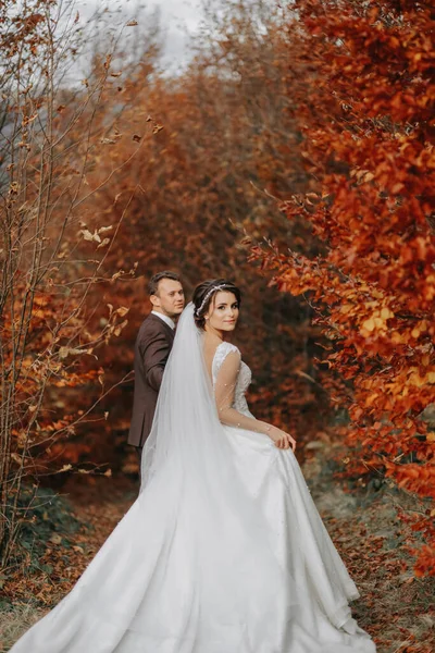 Ślubna Para Spacerze Jesiennym Parku Średni Portret Miejsce Tekst — Zdjęcie stockowe