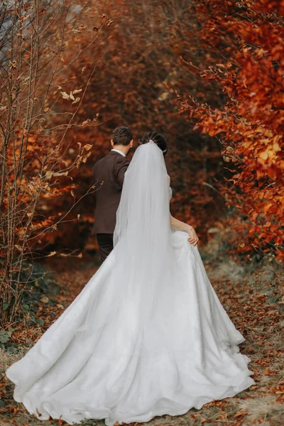 Svatební Pár Procházce Podzimním Parkem Střední Portrét Místo Pro Text — Stock fotografie