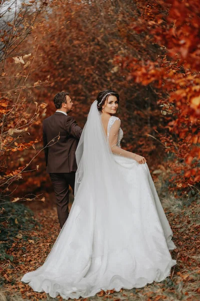 Svatební Pár Procházce Podzimním Parkem Střední Portrét Místo Pro Text — Stock fotografie