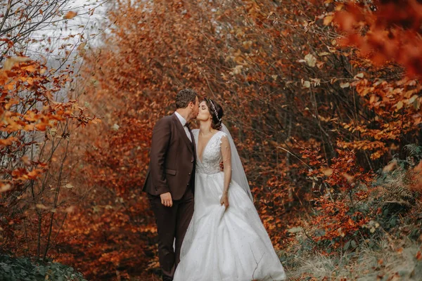 Весільна Пара Прогулянці Осінньому Парку Середній Портрет Місце Тексту — стокове фото