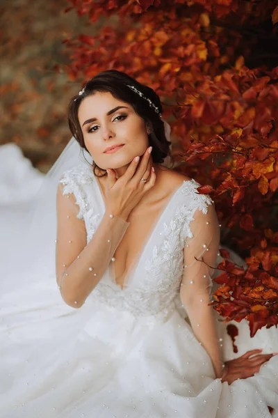 Schöne Braut Herbstlichen Wald Langen Spitzenkleid Mit Schleier Herbstlichen Wald — Stockfoto