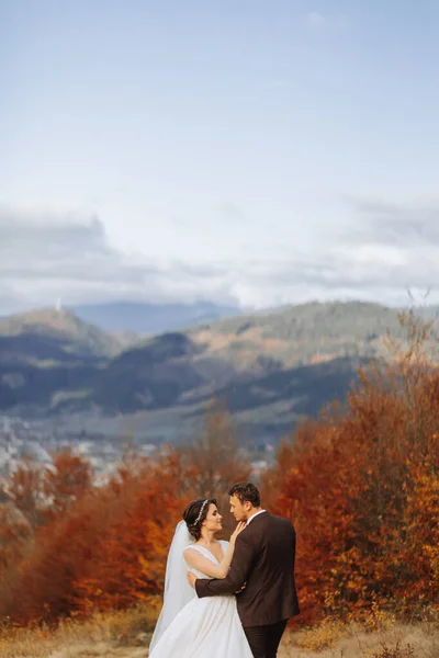 Casal Amoroso Nas Montanhas Casamentos Nas Montanhas Visão Traseira Casal — Fotografia de Stock