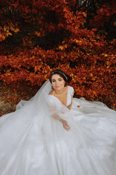 Gyönyörű Menyasszony Őszi Erdőben Hosszú Csipke Ruha Tartja Fátyol Őszi — Stock Fotó