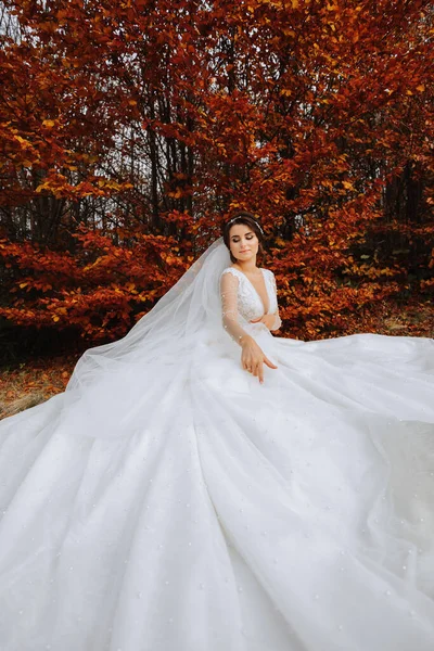 Schöne Braut Herbstlichen Wald Langen Spitzenkleid Mit Schleier Herbstlichen Wald — Stockfoto