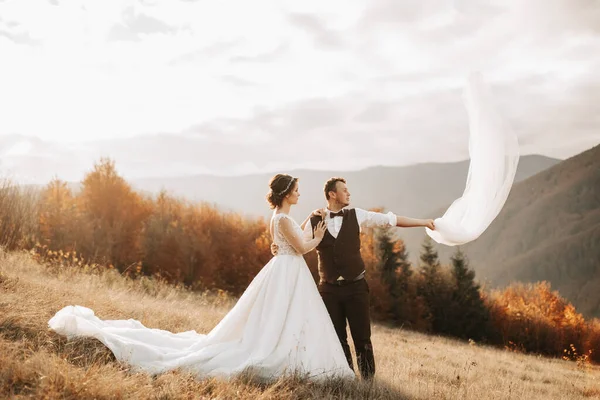 幸福的新婚夫妇在美丽的山景前摆姿势 空气中飘扬着婚纱 — 图库照片
