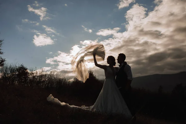 Счастливая Свадебная Пара Позирует Над Красивым Горным Ландшафтом Свадебная Вуаль — стоковое фото