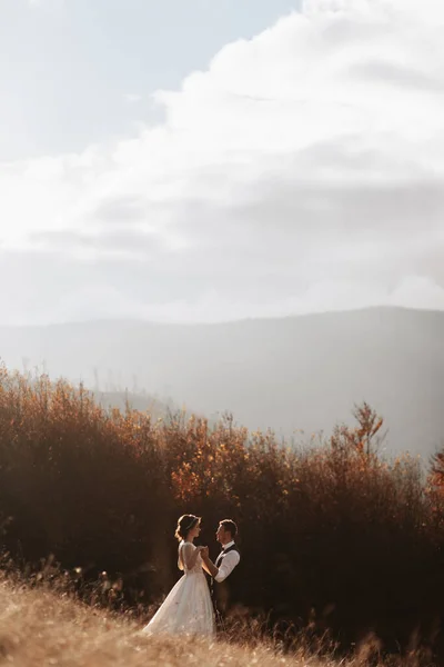 Loving Couple Mountains Weddings Mountains Back View Newlywed Couple Standing — Stock Photo, Image