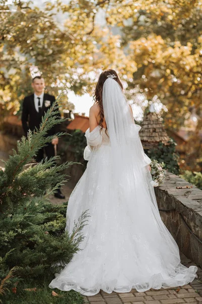 Fiatal Gyönyörű Menyasszony Hosszú Barna Haj Egy Esküvői Ruha Szabadban — Stock Fotó