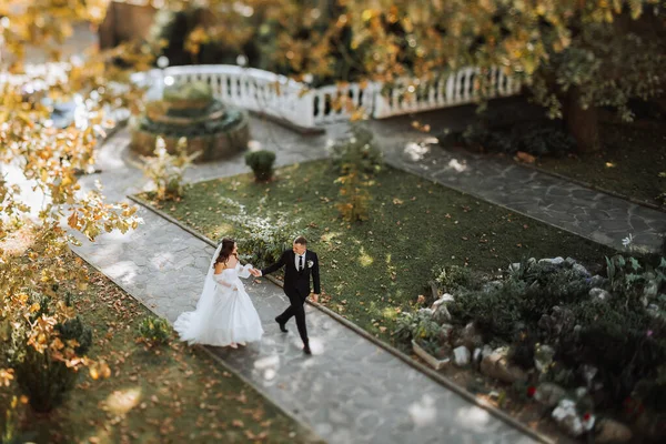 庭を歩いている若い美しい結婚式のカップル上から撮影した写真Ts Eシステムレンズ — ストック写真