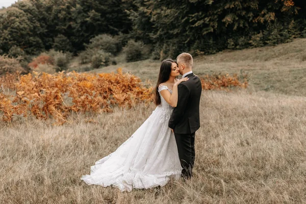 浪漫的童话一对新婚夫妇在日落和蕨类植物的田野里拥抱和亲吻 — 图库照片