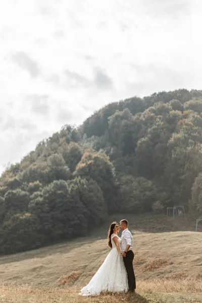 Couple Mariage Promenades Dans Les Montagnes Photo Plan Large Espace — Photo