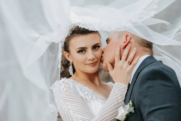 結婚式の肖像画 ロングドレスのブルネットの花嫁と クラシックなスーツの花嫁がベールの下にポーズし 頬にキスします カメラを見る — ストック写真