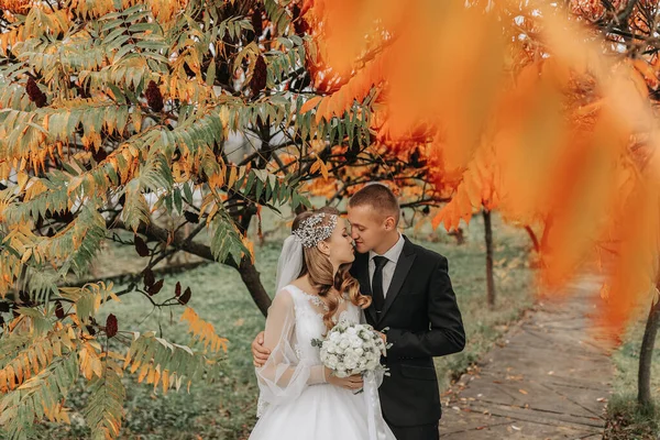Potret Pasangan Yang Jatuh Cinta Sebuah Taman Musim Gugur Seorang — Stok Foto