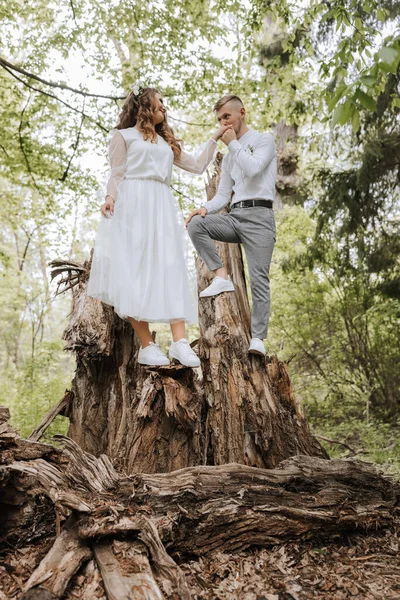 Plimbare Nuntă Pădure Mirele Ține Mâna Miresei Stă Butoi Mare — Fotografie, imagine de stoc