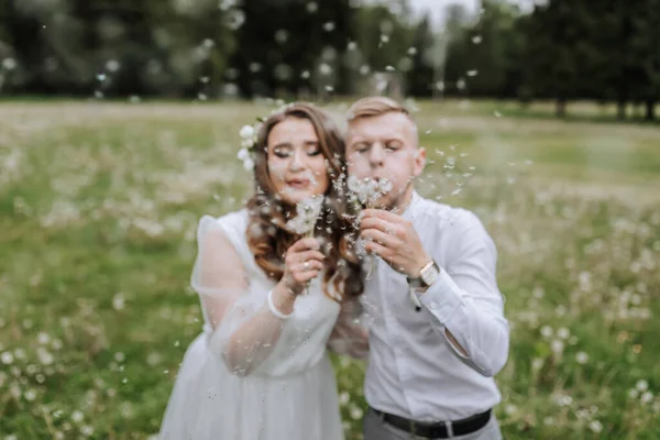 Bride Groom Walk Field Wedding Day Blow Dandelions Camera — Stock Photo, Image