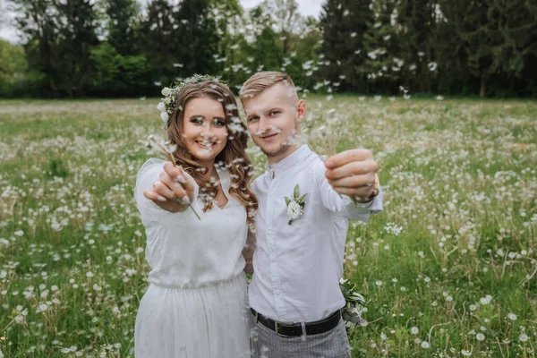 Braut Und Bräutigam Gehen Hochzeitstag Aufs Feld Und Pusten Löwenzahn — Stockfoto