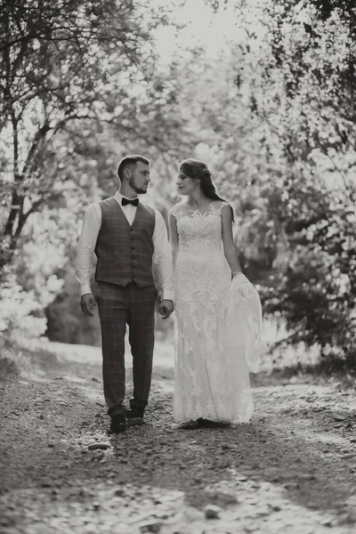 오늘은 아름다운 번째입니다 신부와 신부는 사진을 걷고있다 — 스톡 사진