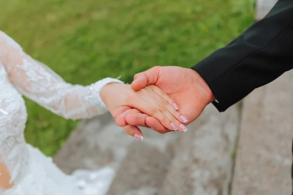 Руки Жениха Невесты Крупным Планом Жених Держит Невесту Руку — стоковое фото