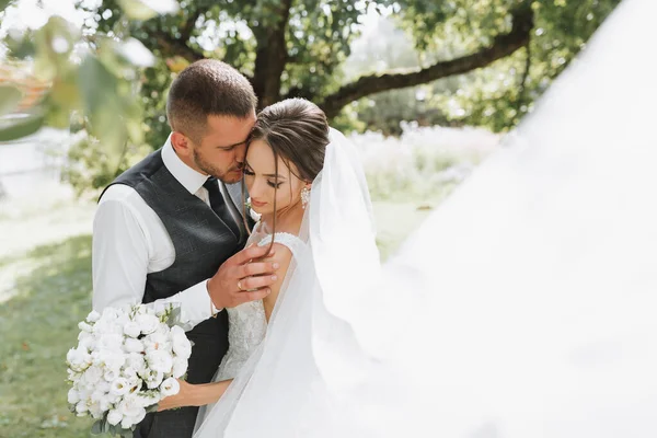 Bruden Och Brudgummen Går Efter Bröllopsceremonin Unga Par Som Går — Stockfoto