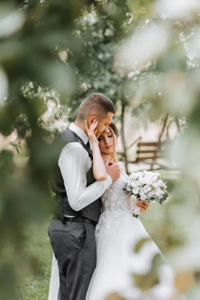 Beautiful Wedding Beautiful Couple Love Laughing Kissing Background Green Garden — Stock Photo, Image
